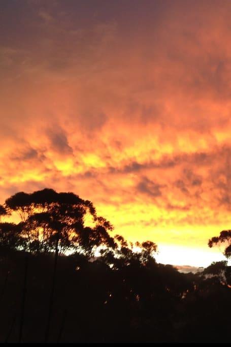 Avoca Beach And Bush 외부 사진