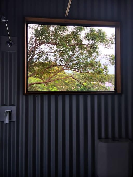 Avoca Beach And Bush 외부 사진